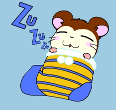 snoozerzu.jpg